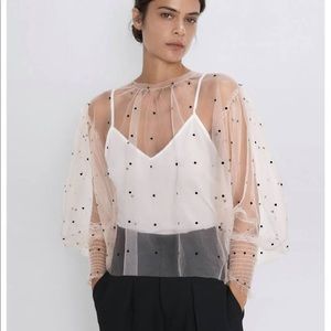 ISO!!! Sheer dot lace blouse from Zara
